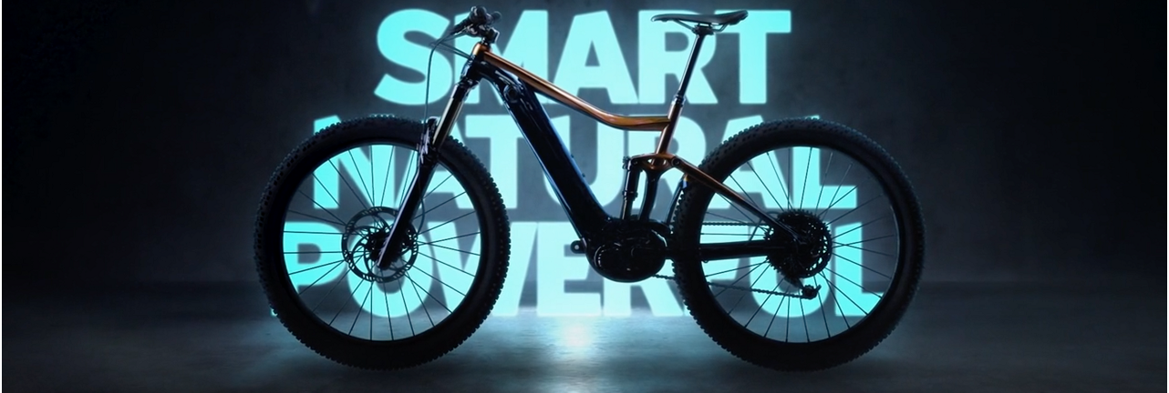 e-Bike di Giant